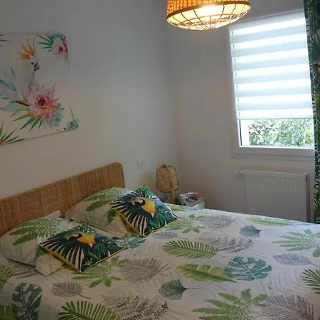 Ilona Apartamento