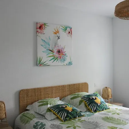 Ilona Apartamento *